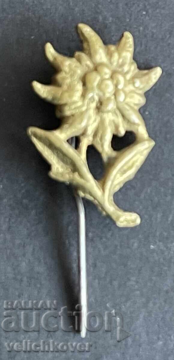 42448 Regatul Bulgariei insignă turistică BT·S edelweiss 40-te