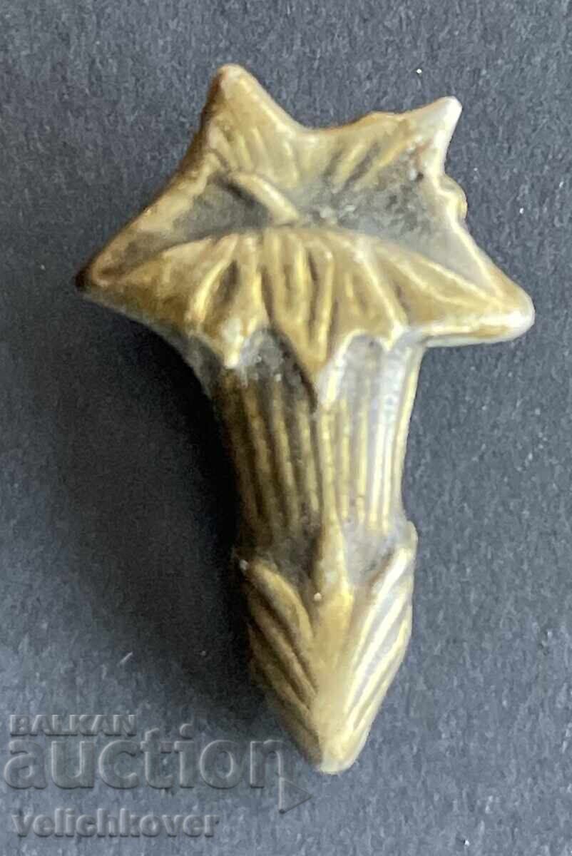 42452 България туристически знак БТС планинско цвете 42452 България туристически знак БТС планинско цвете