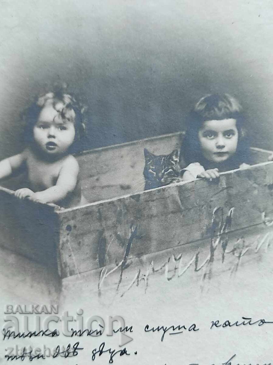 Postcard pre-1945 with price € 5.11 | 9.99 BGN