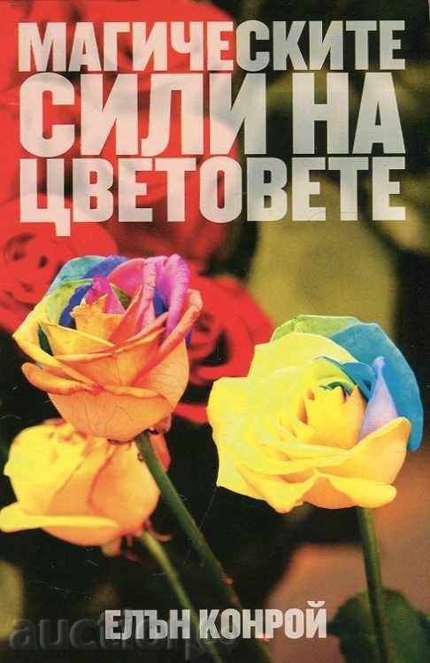 Puterea magică a culorilor Puterea magică a culorilor