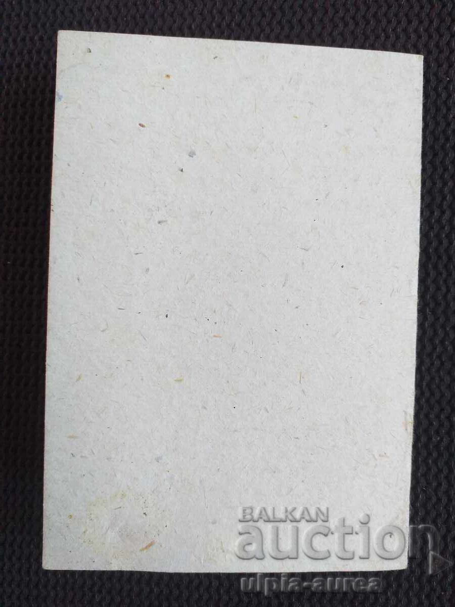 Auction Social Security Card Auction Social Security Card