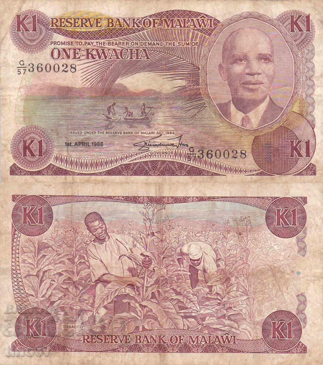 tino37 - MALAWI - 1 KWACHA - 1988g
