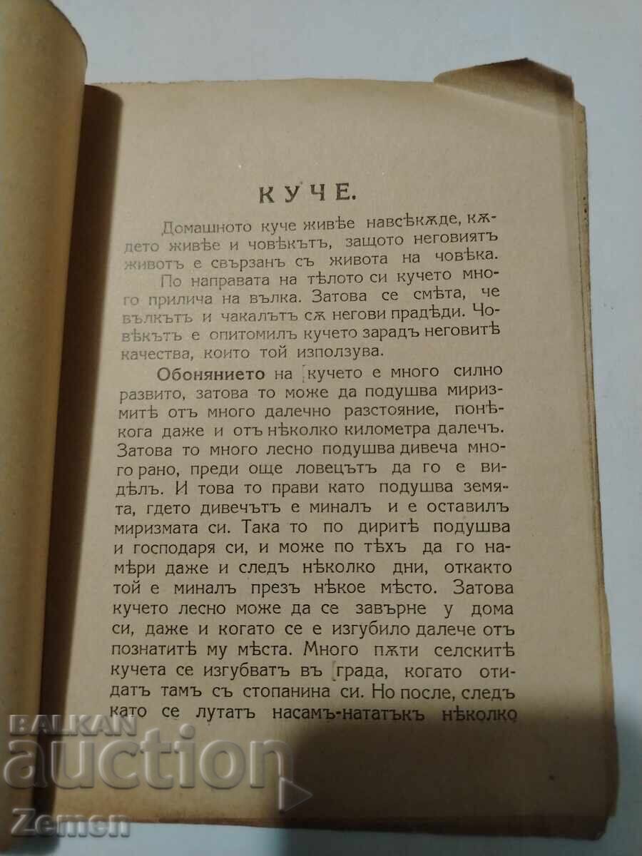 Σκύλος. Γάτα με τιμή € 1.00 | 1.96 BGN Σκύλος. Γάτα με τιμή € 1.00 | 1.96 BGN