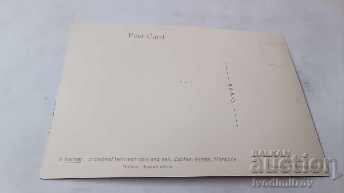 П К A Hainagn Between Cow and Yak Zabhan Aimak, Mongolia с цена € 0.46 | 0.90 лв. П К A Hainagn Between Cow and Yak Zabhan Aimak, Mongolia с цена € 0.46 | 0.90 лв.