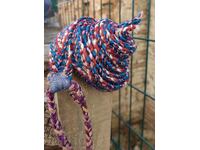 ΠΑΛΙΟ ΖΩΝΗ ΝΟΣΙΑΣ ΣΕ ΑΡΙΣΤΗ ΚΑΤΑΣΤΑΣΗ