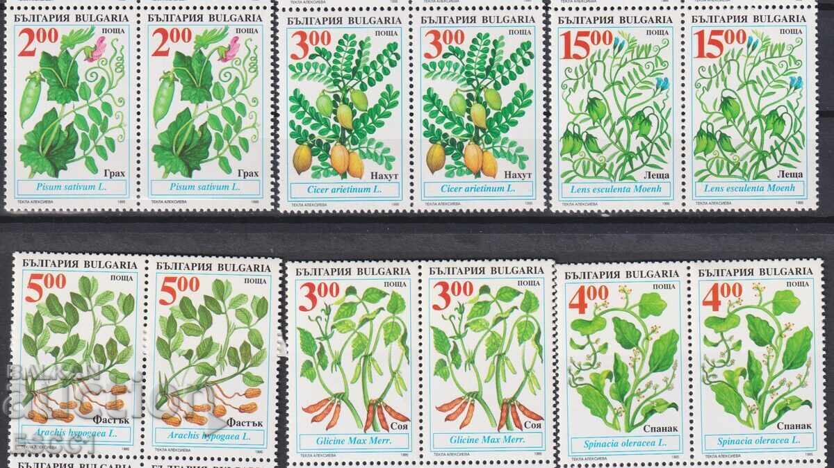 Καθαρές γραμματόσημα Φυτά Καλλιέργειας 1995 από Βουλγαρία με τιμή € 0.40 | 0.78 BGN Καθαρές γραμματόσημα Φυτά Καλλιέργειας 1995 από Βουλγαρία με τιμή € 0.40 | 0.78 BGN
