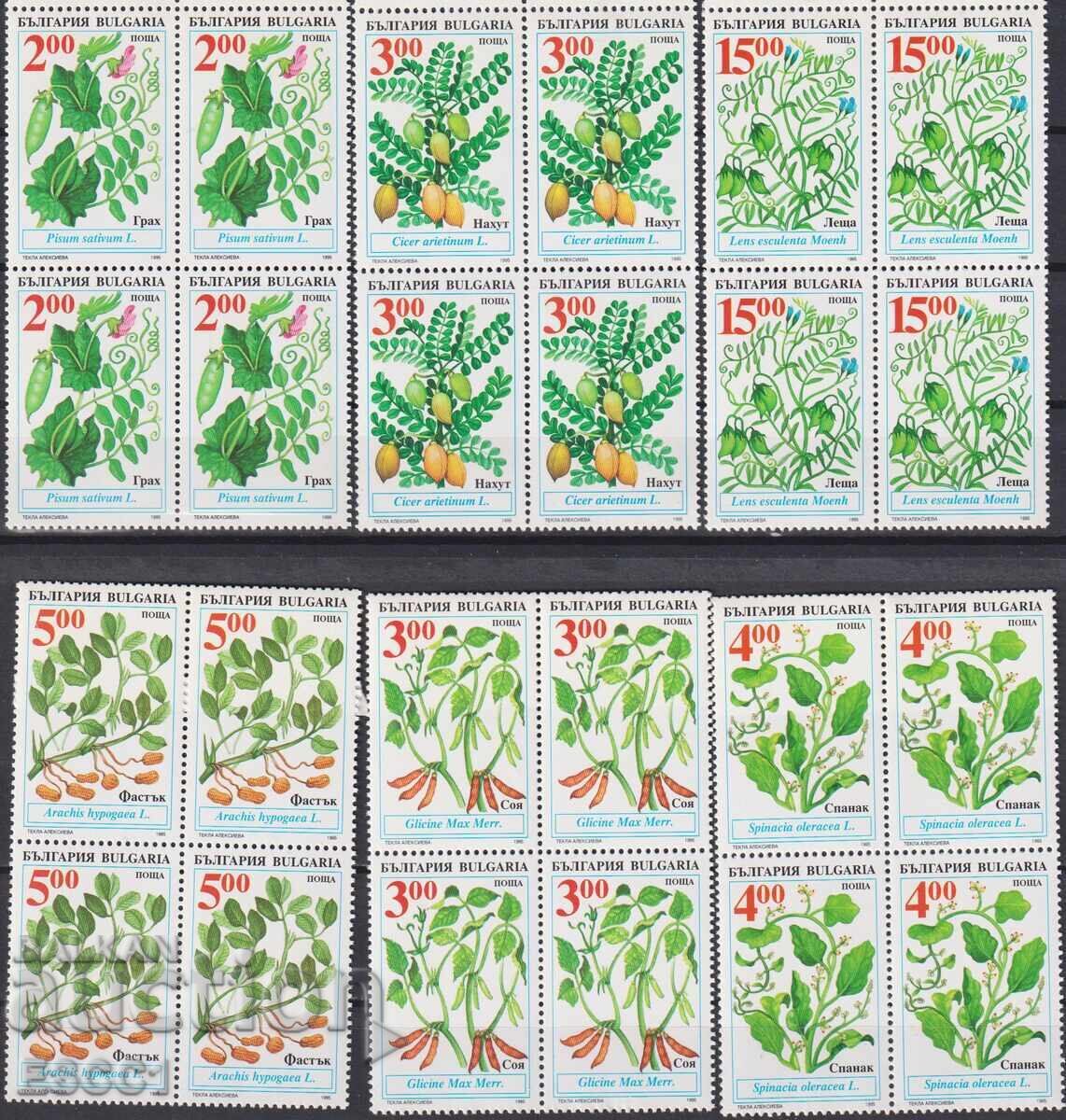 Δημοπρασία Καθαρές γραμματόσημα Φυτά Καλλιέργειας 1995 από Βουλγαρία Δημοπρασία Καθαρές γραμματόσημα Φυτά Καλλιέργειας 1995 από Βουλγαρία