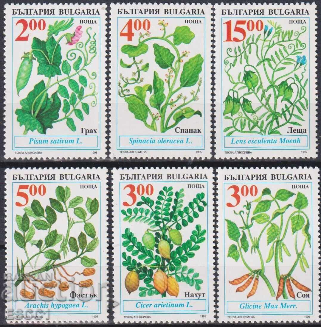 Καθαρές γραμματόσημα Φυτά Καλλιέργειας 1995 από Βουλγαρία Καθαρές γραμματόσημα Φυτά Καλλιέργειας 1995 από Βουλγαρία