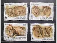 Индия  -  азиатски лъв,  WWF