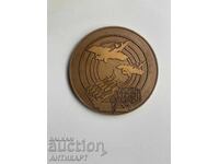 Medalie rară, placă, Apărare Antiaeriană și Forțele Aeriene