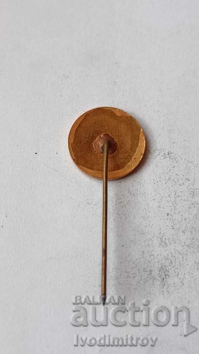 DSO Badge IN K with price € 2.85 | 5.57 BGN