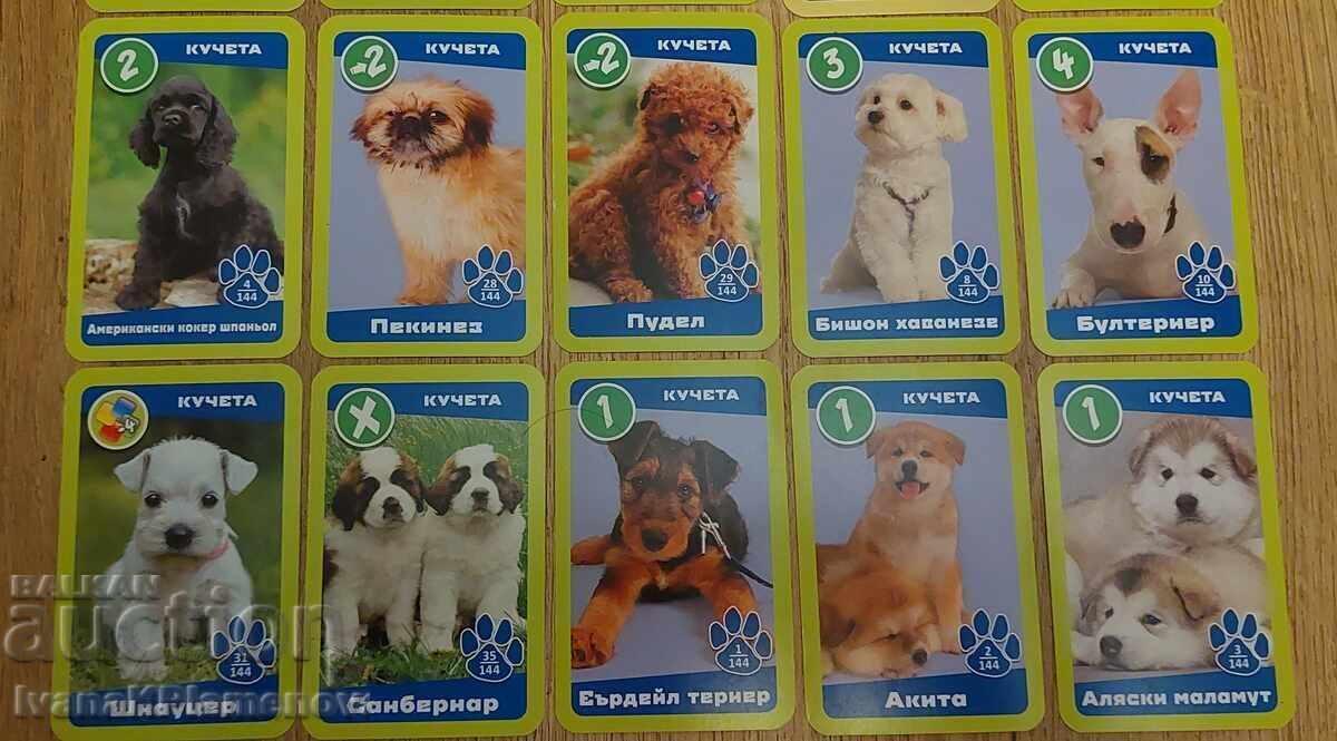 Carduri pentru colecționari 23 piese cu preț € 13.00 | 25.43 BGN