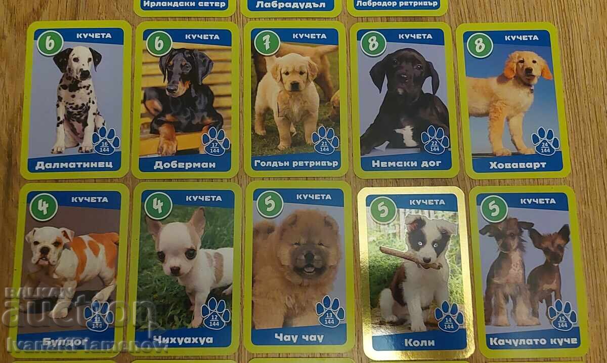 Licitație Carduri pentru colecționari 23 piese