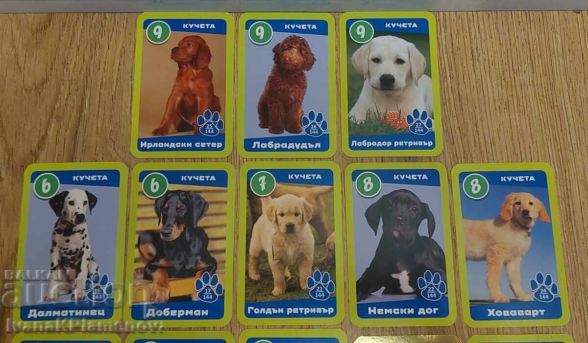 Livrarea Carduri pentru colecționari 23 piese