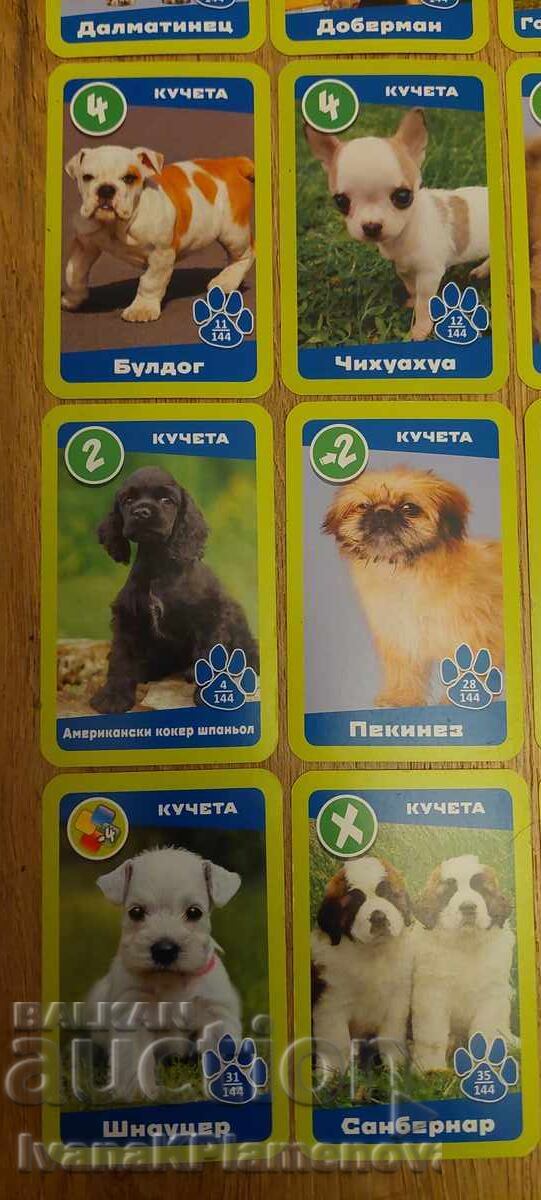 Carduri pentru colecționari 23 piese - 5