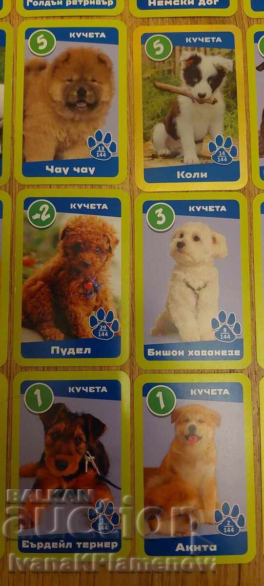 Carduri pentru colecționari 23 piese - 6