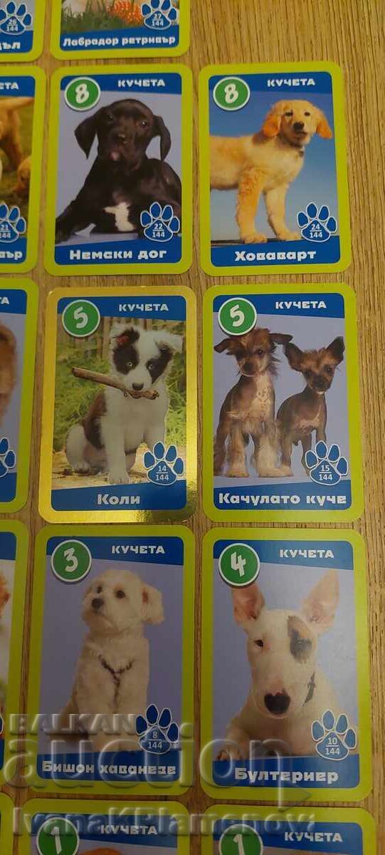 Carduri pentru colecționari 23 piese - 7