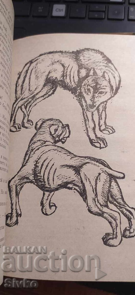 Белият зъб, Джек Лондон, илюстрации - 7 Белият зъб, Джек Лондон, илюстрации - 7