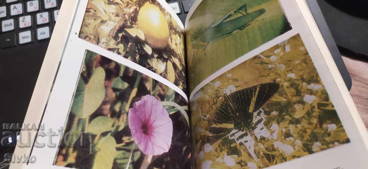 Παράδοση Στην ζούγκλα του Αμαζονίου, Karel Rataj, πολλές φωτογραφίες