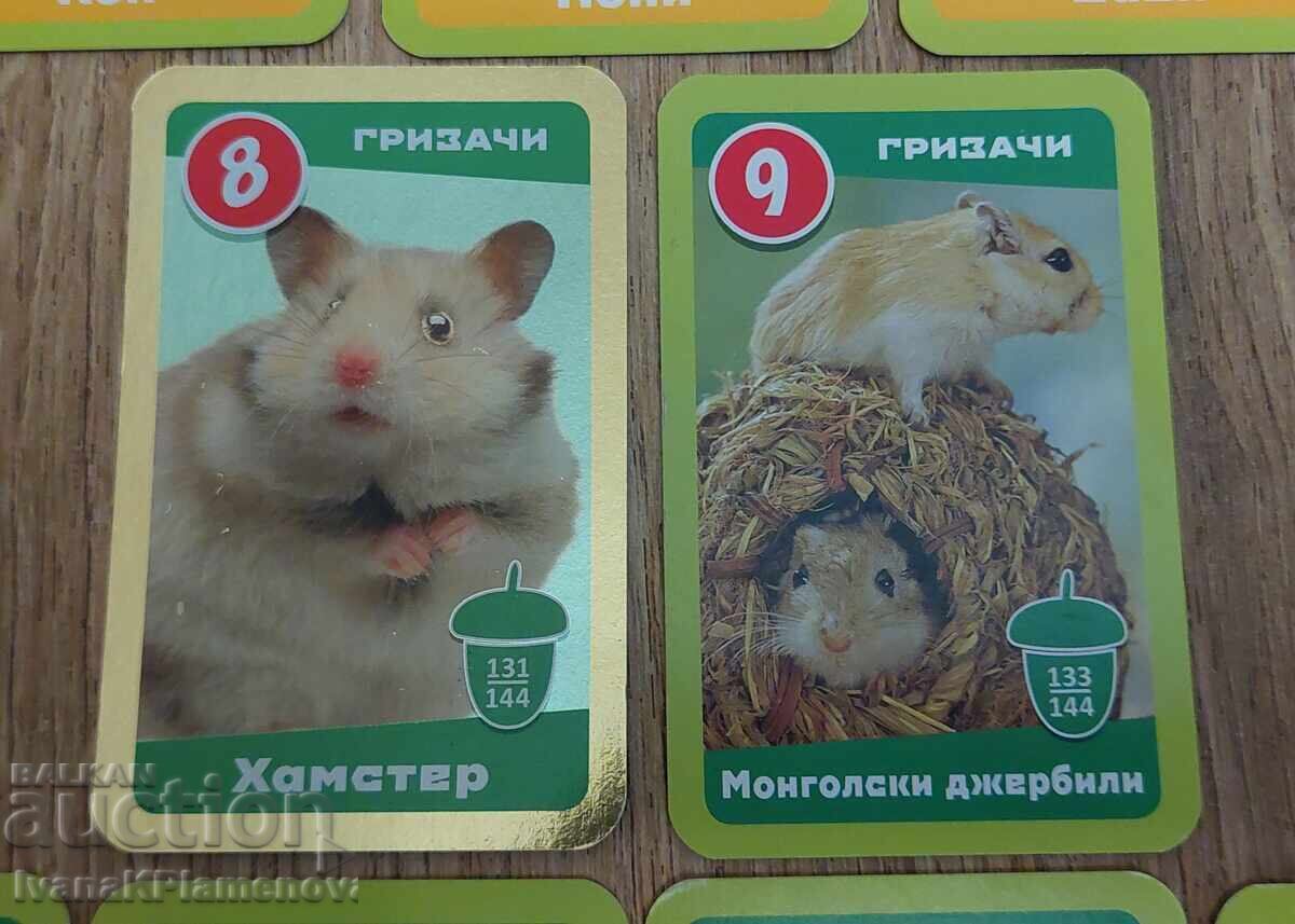 Livrarea Carduri pentru colecționari 13 piese Livrarea Carduri pentru colecționari 13 piese