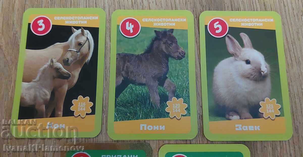 Carduri pentru colecționari 13 piese - 5 Carduri pentru colecționari 13 piese - 5