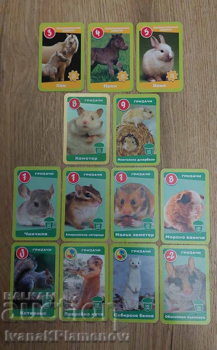 Карти за колекционери 13 броя