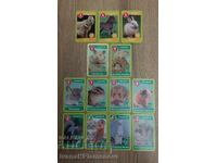 Карти за колекционери 13 броя