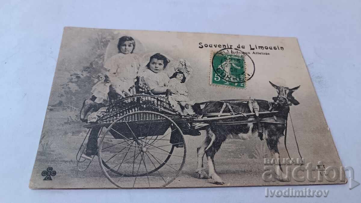 Пощенска картичка Souvenir du Limousin Gracieux Attelage