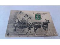 Souvenir Postcard from Limousin Gracieux Attelage
