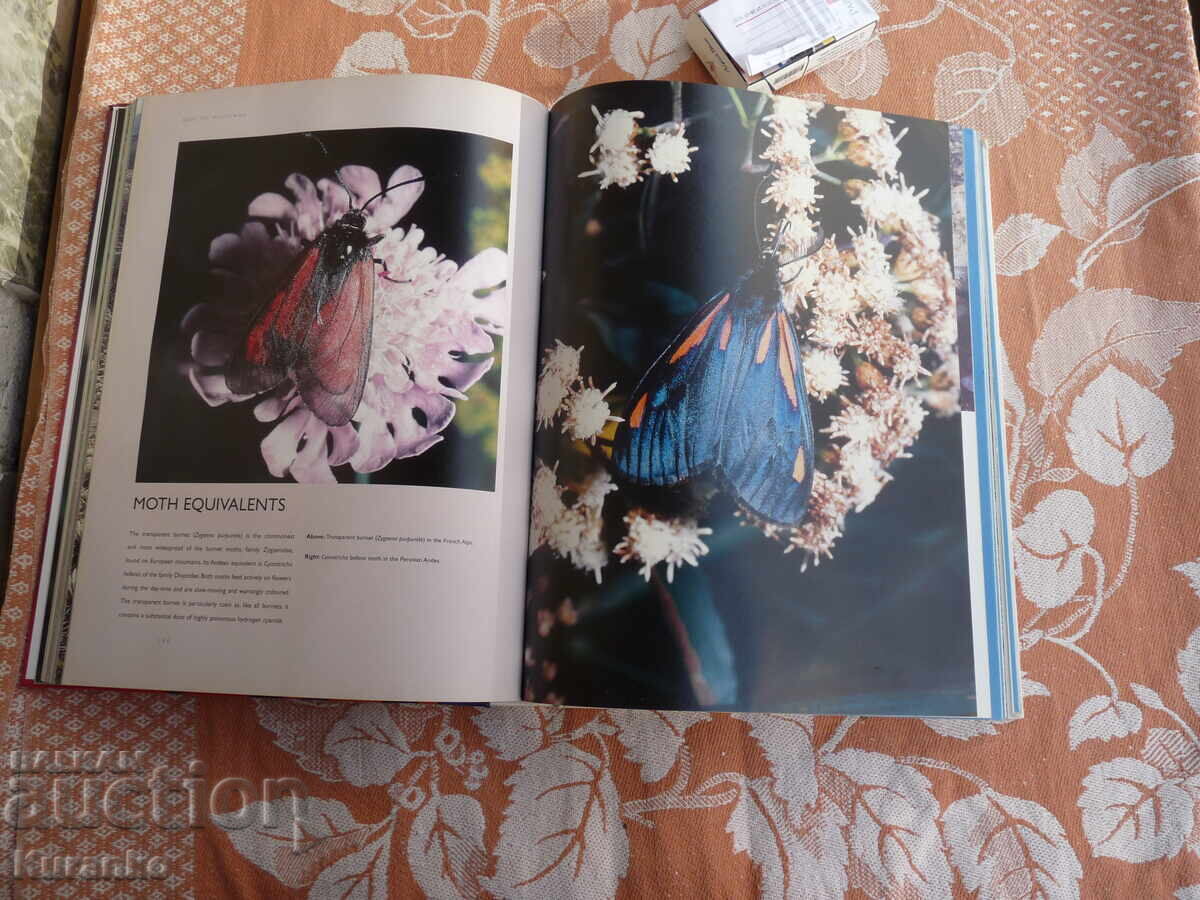 Κατάλογος άλμπουμ BUGS INSECTS ΝΑΣΕΚΟΜΙ με τιμή € 30.00 | 58.67 BGN Κατάλογος άλμπουμ BUGS INSECTS ΝΑΣΕΚΟΜΙ με τιμή € 30.00 | 58.67 BGN