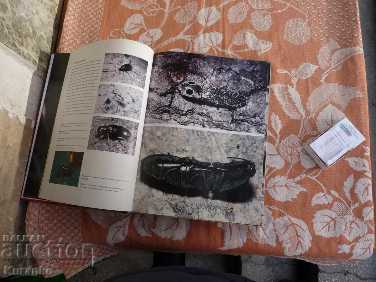 Παράδοση Κατάλογος άλμπουμ BUGS INSECTS ΝΑΣΕΚΟΜΙ Παράδοση Κατάλογος άλμπουμ BUGS INSECTS ΝΑΣΕΚΟΜΙ