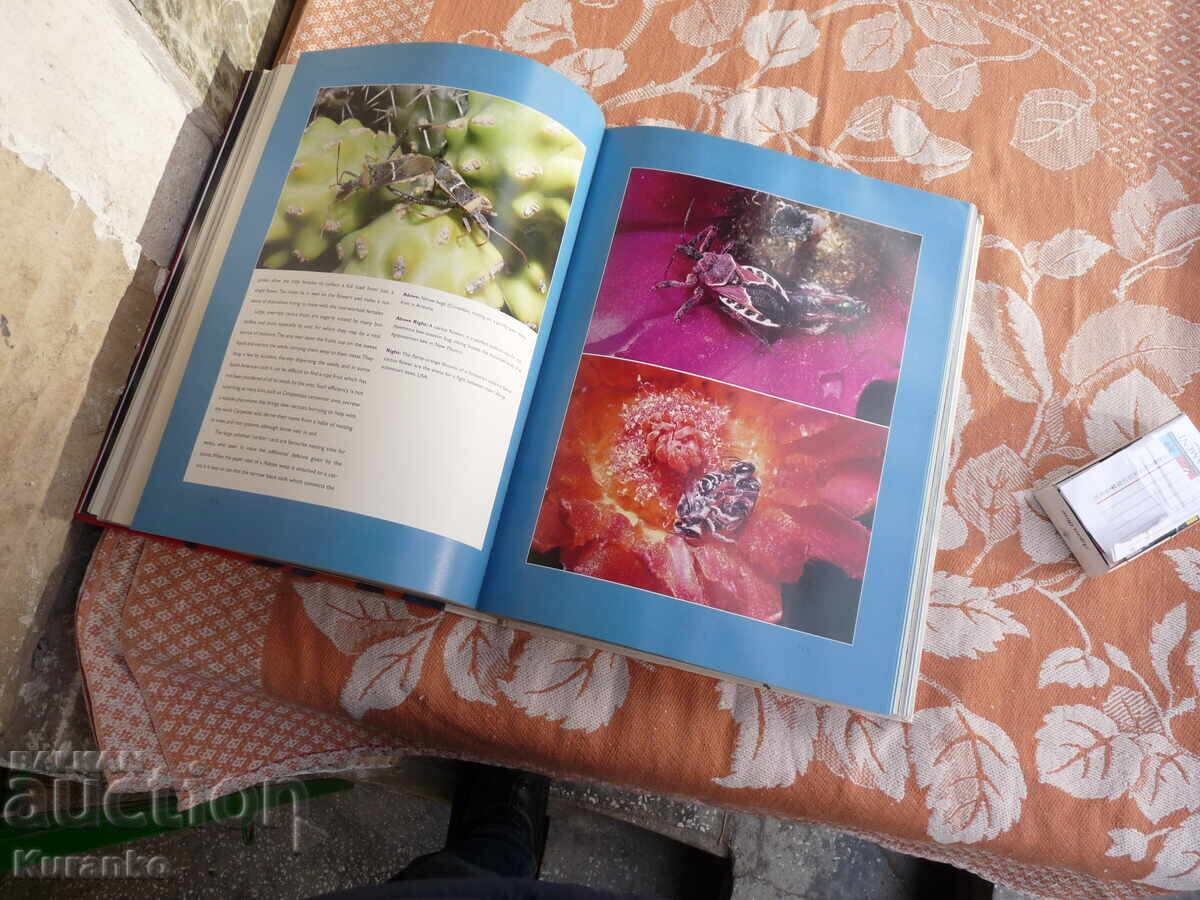 Κατάλογος άλμπουμ BUGS INSECTS ΝΑΣΕΚΟΜΙ - 5 Κατάλογος άλμπουμ BUGS INSECTS ΝΑΣΕΚΟΜΙ - 5