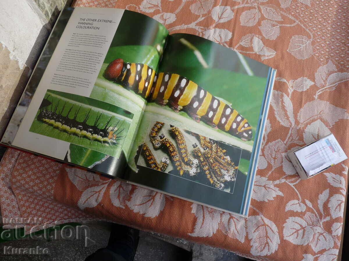 Κατάλογος άλμπουμ BUGS INSECTS ΝΑΣΕΚΟΜΙ - 6 Κατάλογος άλμπουμ BUGS INSECTS ΝΑΣΕΚΟΜΙ - 6