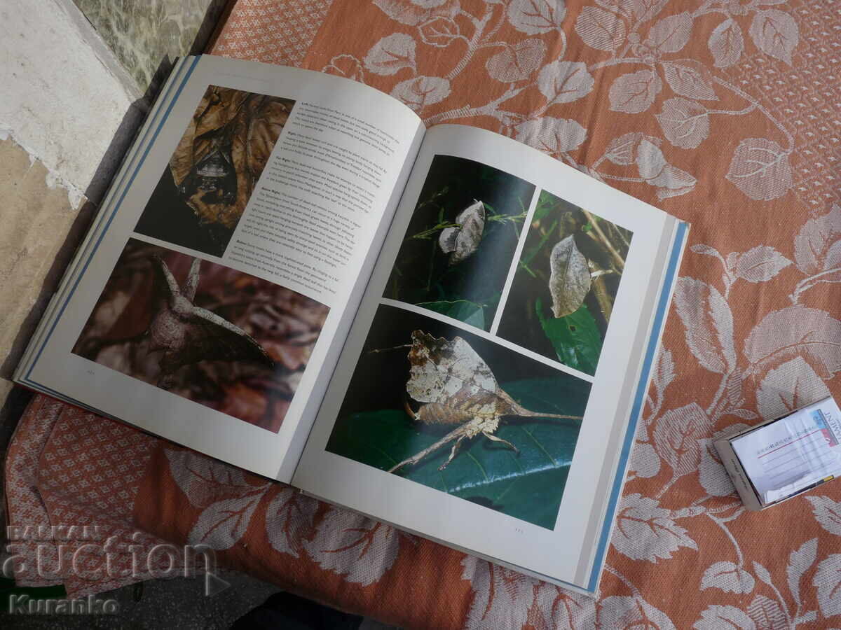 Κατάλογος άλμπουμ BUGS INSECTS ΝΑΣΕΚΟΜΙ - 7 Κατάλογος άλμπουμ BUGS INSECTS ΝΑΣΕΚΟΜΙ - 7