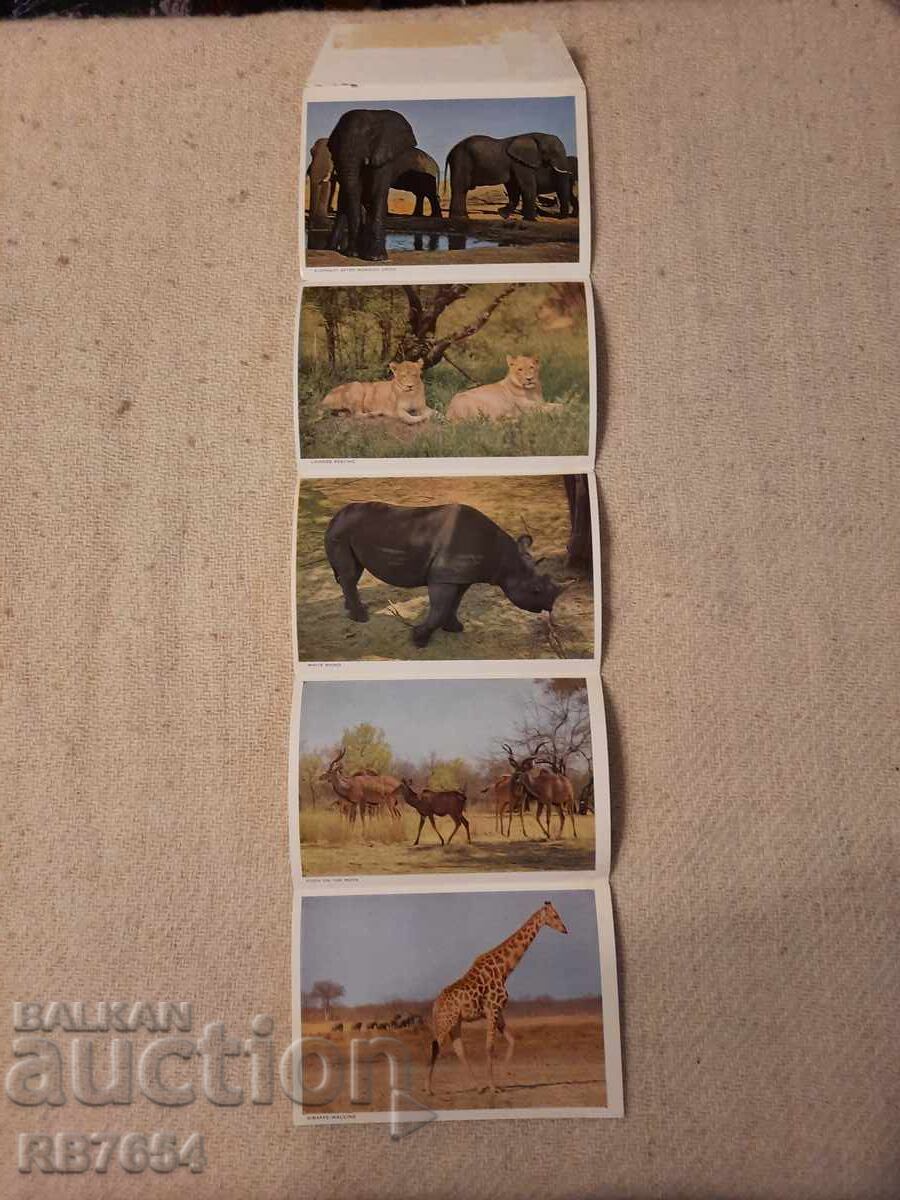 Κάρτες Κάρτες