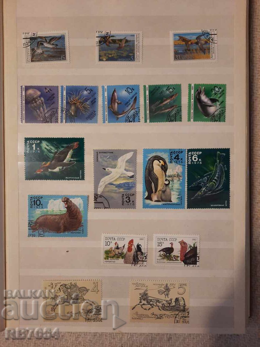 Μάρκες Μάρκες