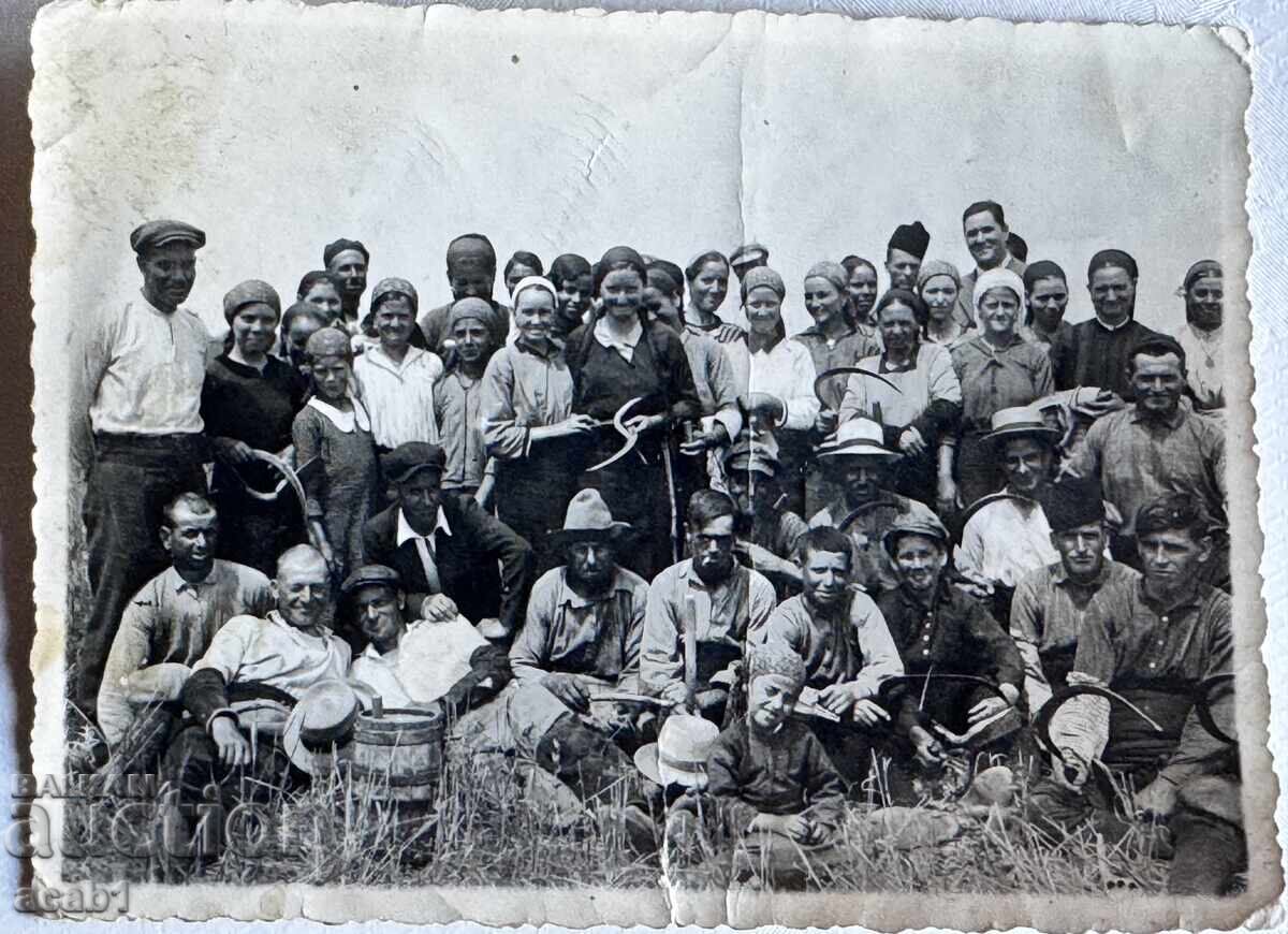 Θεριστές στα χωράφια