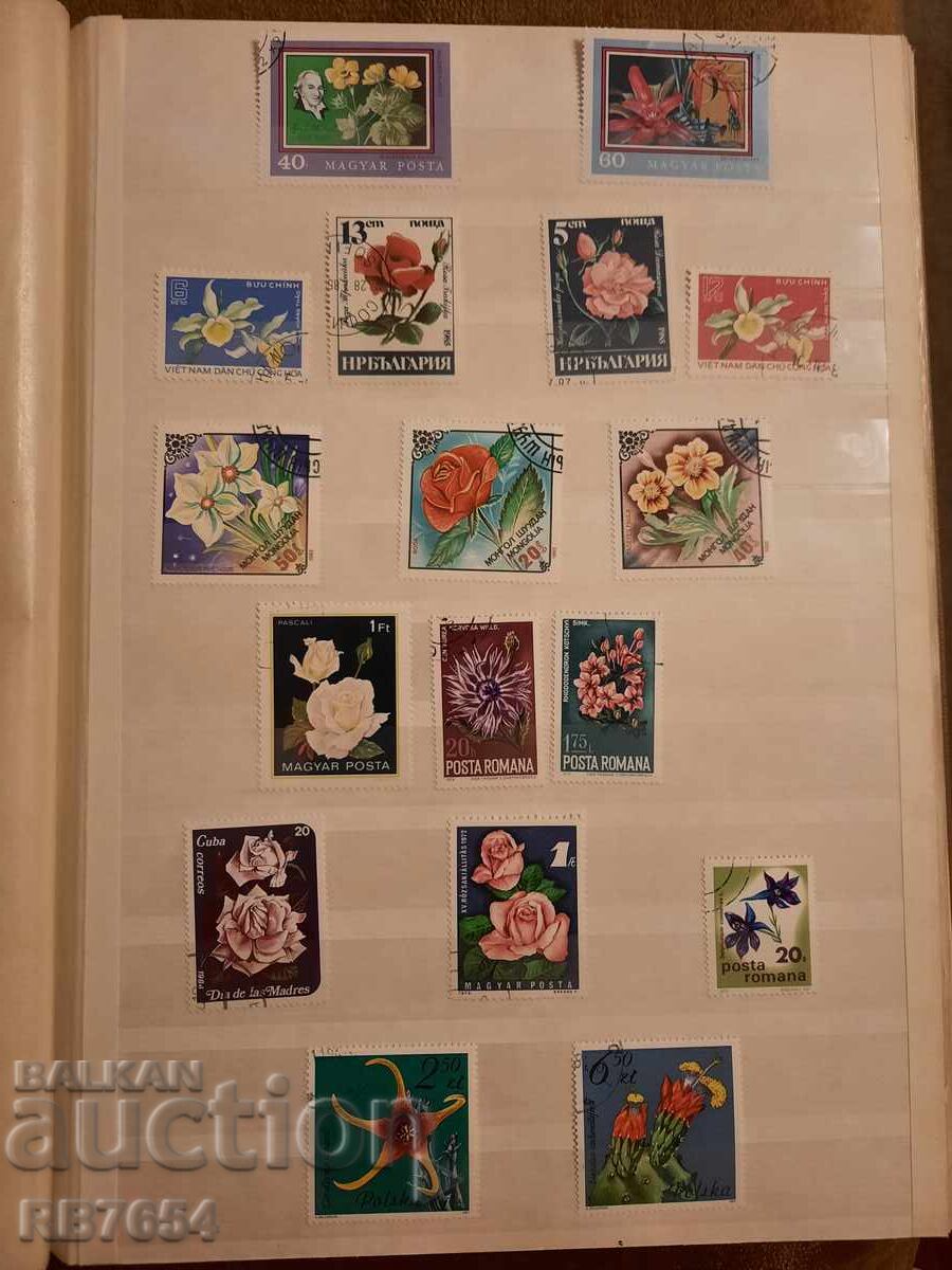 Μάρκες Μάρκες