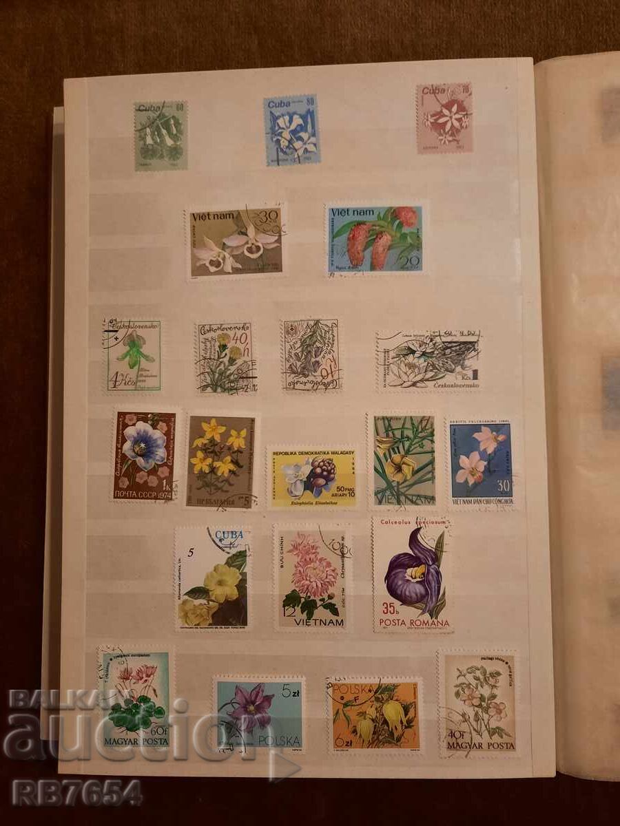 Μάρκες Μάρκες