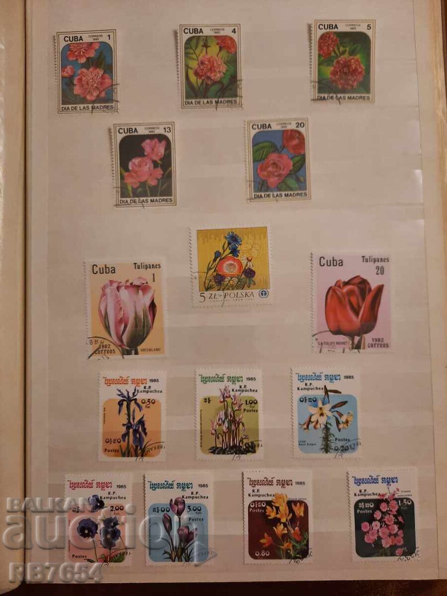 Μάρκες Μάρκες