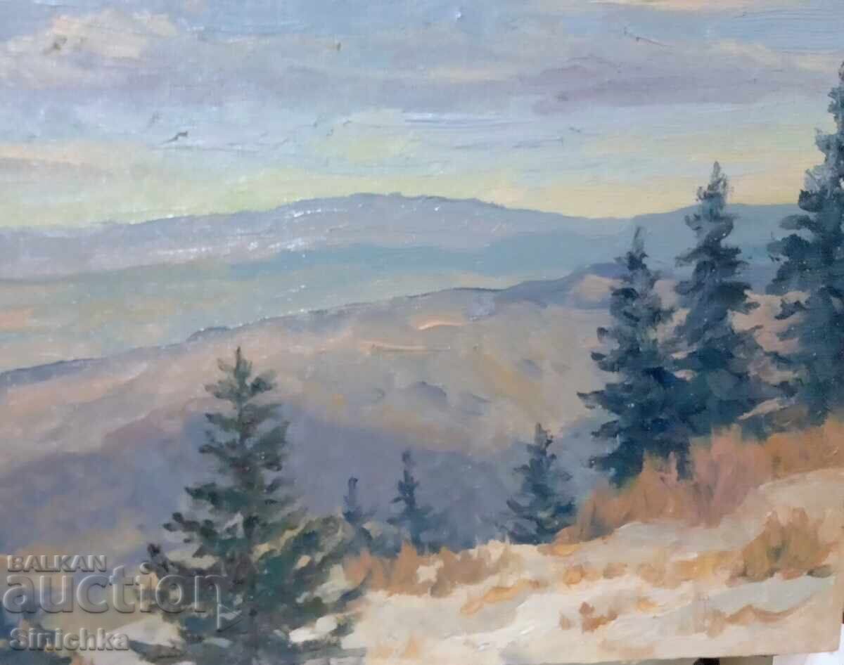 Original painting, oil on canvas. View from Vitosha Original painting, oil on canvas. View from Vitosha