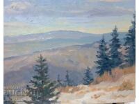Авторска картина, маслена живопис. Гледка от Витоша.