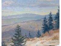 Tablou original, pictură în ulei. Vedere din Vitosha
