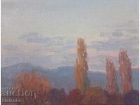 Авторска картина, маслена живопис.