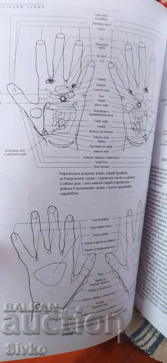 Сексуални тайни, Алхимия на екстаза, много илюстрации 18+ - 7 Сексуални тайни, Алхимия на екстаза, много илюстрации 18+ - 7
