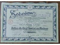 Share of the French-Polish Petroleum Company 1914