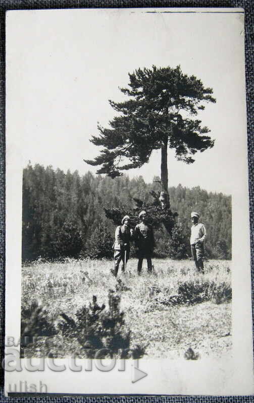 Fotografie de ofițer din 1931 Fotografie de ofițer din 1931