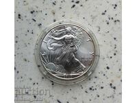 Ασήμι 1 OZ 2020 American Eagle