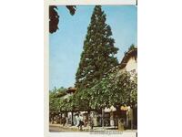 Картичка  България  Курорт Вършец Улица Г.Димитров"*