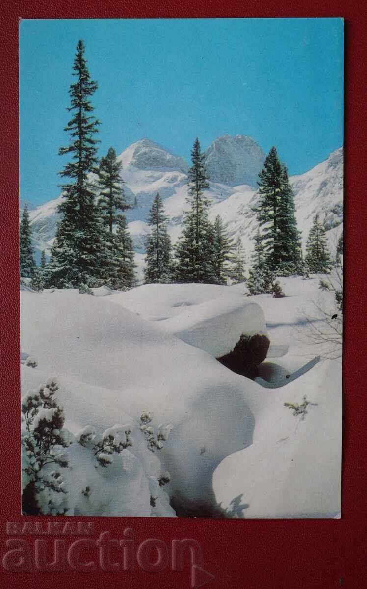 Χειμωνιάτικη Ιστορία Χειμωνιάτικη Ιστορία